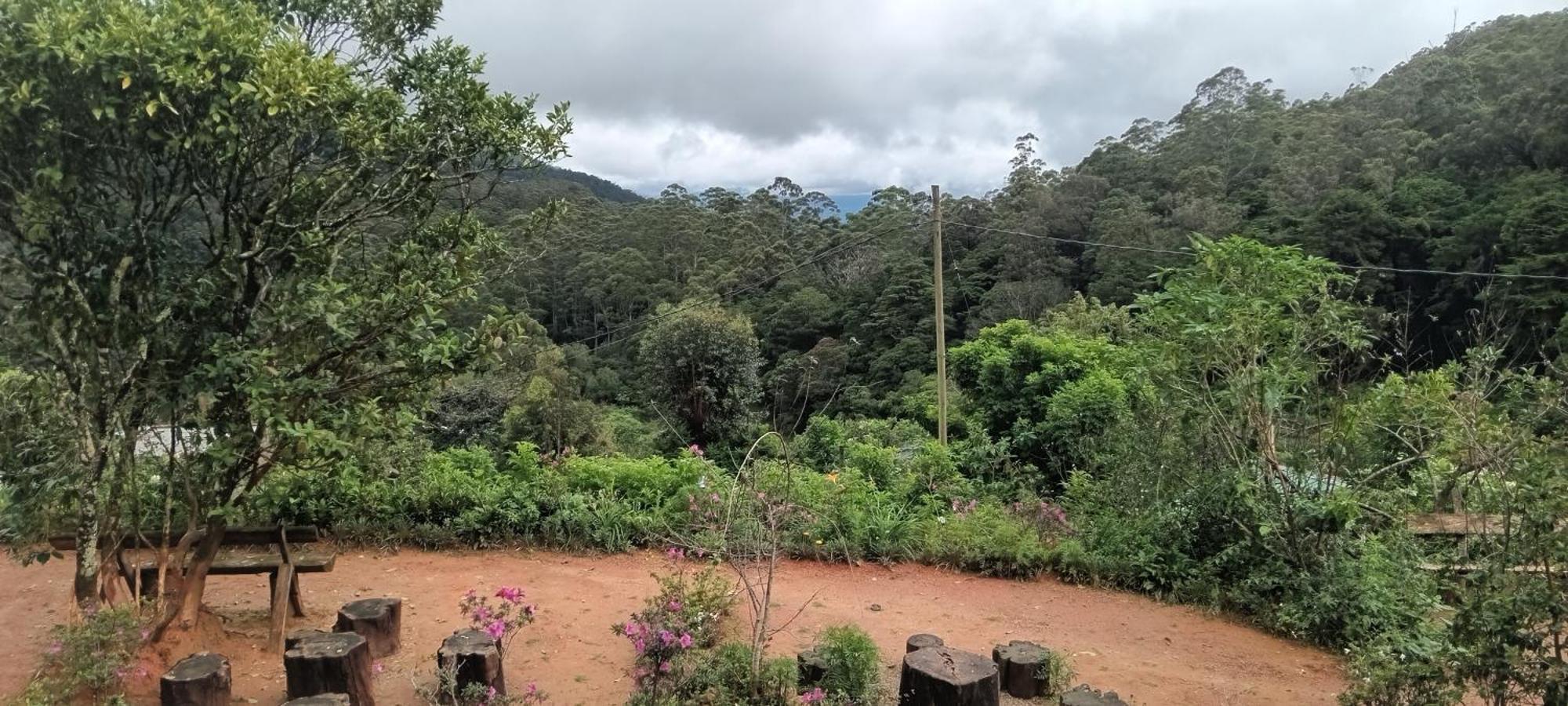 Forest Cyniciam Homestay Ohiya Pokoj fotografie